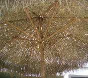 Bamboo Palapa Underside